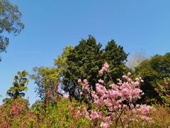 -桃花涧