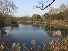 -西溪国家湿地公园