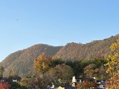 -塔川景区