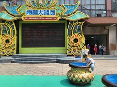 -西双版纳原始森林公园
