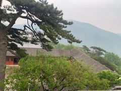 -妙峰山风景名胜区