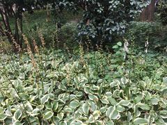 -沪东工人文化宫