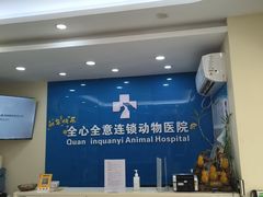 -全心全意连锁动物医院·微创中心·内科急重症·心脏专科(丰管路店)