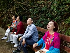 -西双版纳原始森林公园