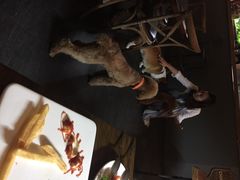 百好乐比萨-百好乐宠物友好餐厅(朝外大街店)