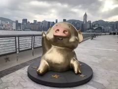 -星光大道