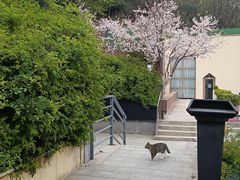 -UNI UNI(环亚凯瑟琳店)