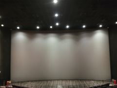 -百丽宫影城(CGS激光苏宁广场店)
