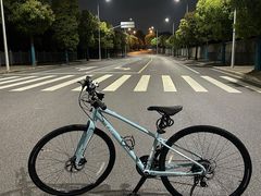 -GIANT捷安特自行车专卖店(金桥台儿庄路店)