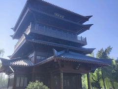 -合肥滨湖国家森林公园