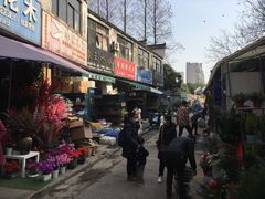 -合肥市裕丰花鸟虫鱼市场-F区