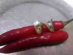 -探鱼·鲜青椒爽麻烤鱼(天一广场店)
