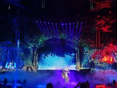 -广州长隆国际大马戏