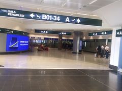 -米兰马尔彭萨国际机场