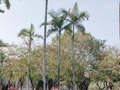-金砂公园