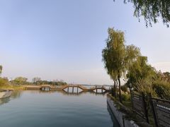 -长广溪湿地公园