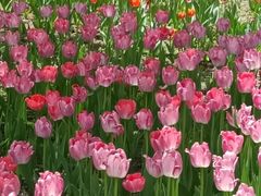 -长春公园(普阳街道)