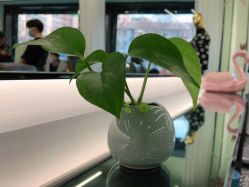 -BUTY HAIR 比帝专业烫染店