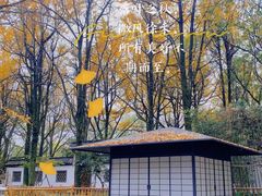 -西湖风景区十里琅珰-五云山