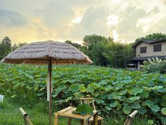 -百翠山居.家飨餐厅