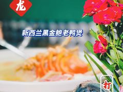 -金龙·打边炉(南京西路店)