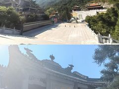 -南海湾森林生态园