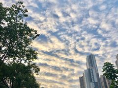 -马鹦路(地铁站)