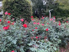 -人民公园(罗湖区)