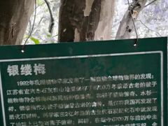 -岳西天峡风景区