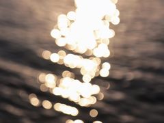 -天鹅湖体育公园