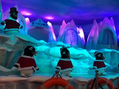 -帝企鹅自助餐厅•儿童岛•真企鹅(长隆企鹅酒店)