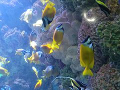 -海合安青岛极地海洋公园