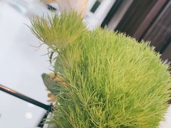 -大连铂尔曼酒店-铂尔曼美食廊 Pullman Deli