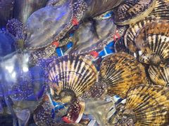 -77号渔船·蒸海鲜青岛菜(积米崖店)