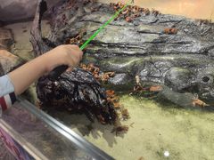 -正佳雨林生态植物园