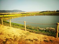 -光明小镇欢乐田园
