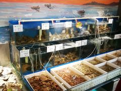 -77号·蒸海鲜青岛菜(积米崖店)