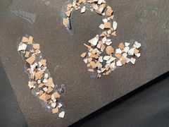 -陕西省小天鹅艺术团