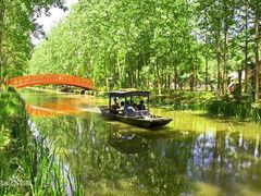 -合肥滨湖国家森林公园