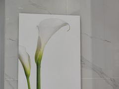 -福奈特洗衣洗鞋(宝华广场店)