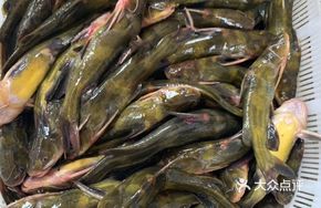 Braised Yellow Catfish