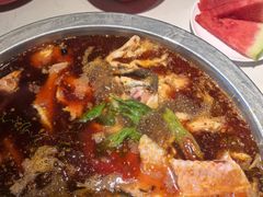 -蜀滋香鲜鱼美蛙火锅(339店)