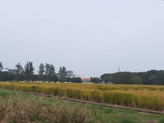 -嘉北郊野公园