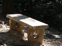 -火炉山森林公园