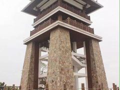 -大湾区中央湿地公园
