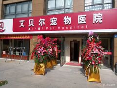 -艾贝尔宠物医院 ·内科全科(梁溪路店)