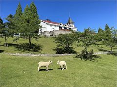 -神户市立六甲山牧场