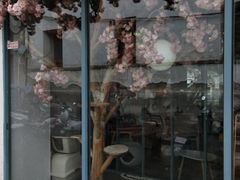 -喵屿·大理花园猫咖