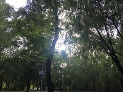 -二一九公园