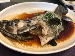 -春满园·早茶·粤菜·宴会(前海店)